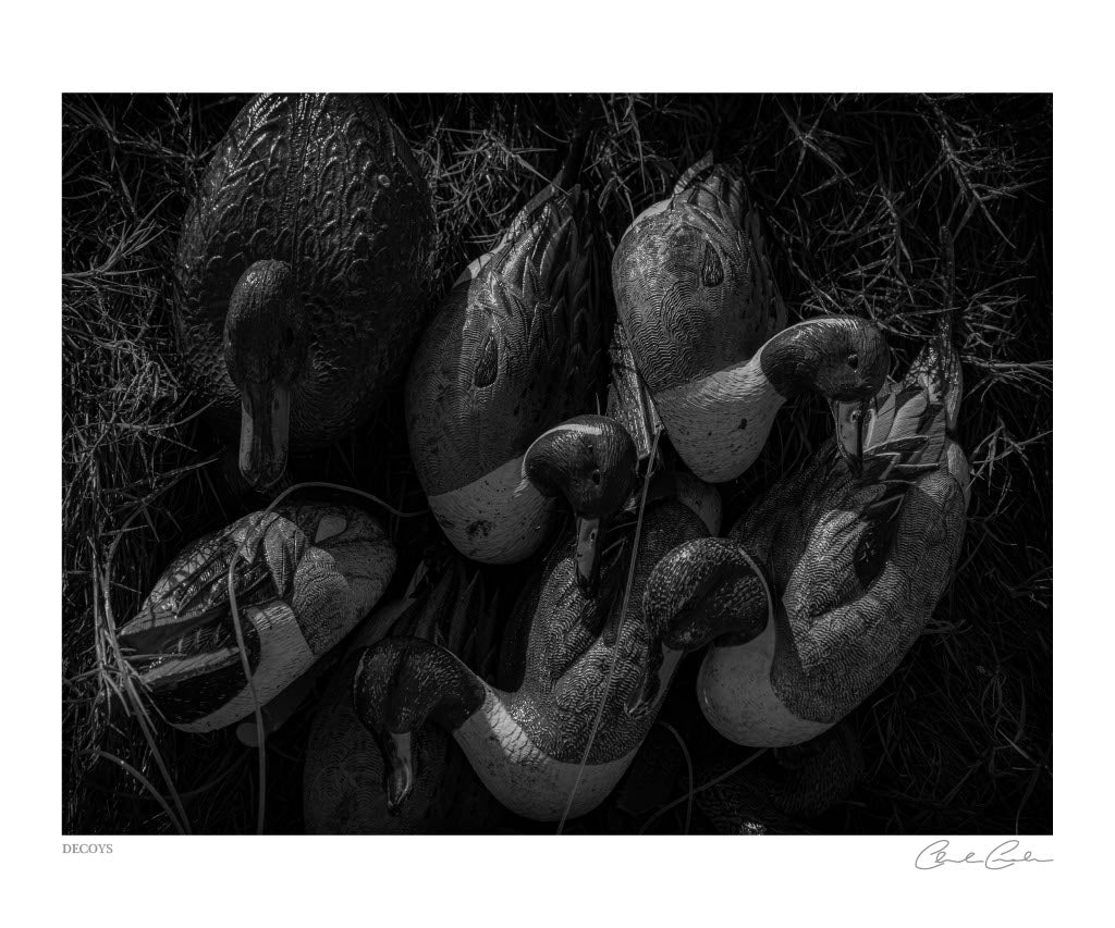 Decoys