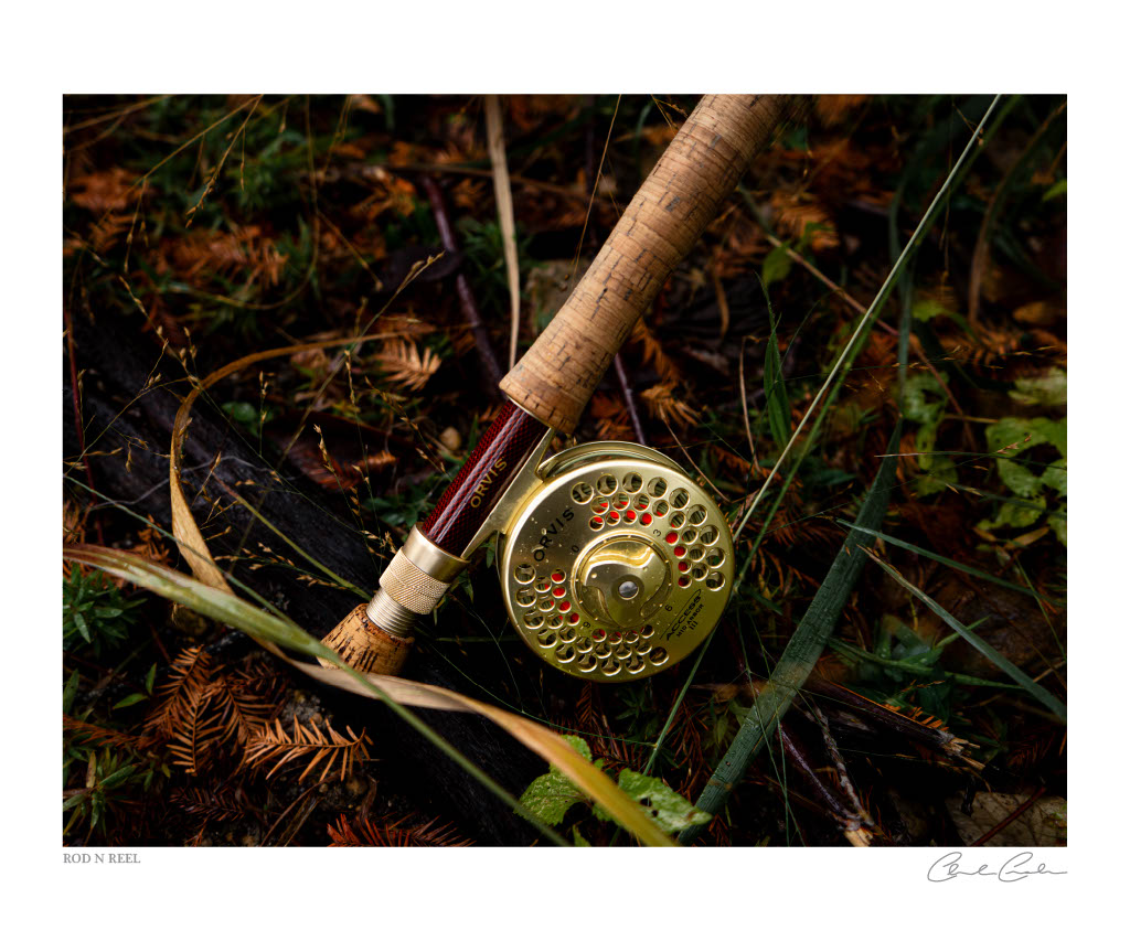 Rod N Reel
